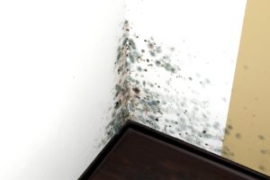 Mold in an Edge