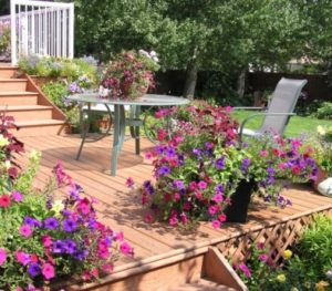 Back Decks: The Safe Way to Work with Woods, Stains