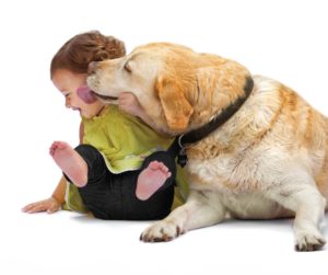 Studies suggest that a pet dog can help protect your child against allergies later in life.