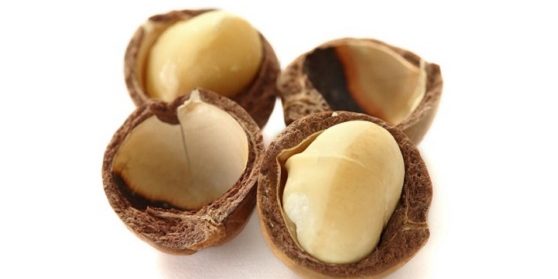 Nut Shell Identification Chart