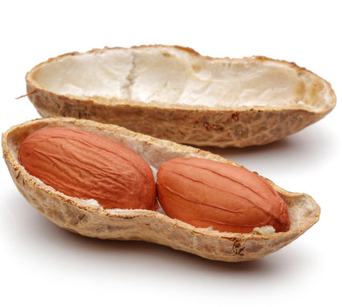 Peanuts on a white background.