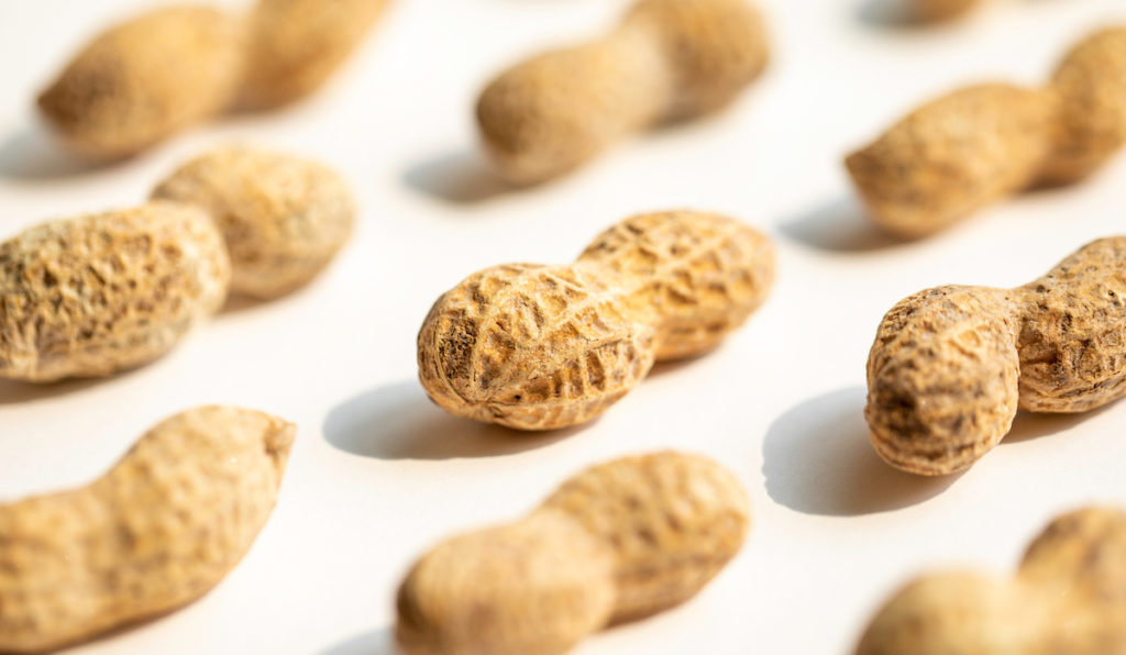 Peanuts in their shells on a white background