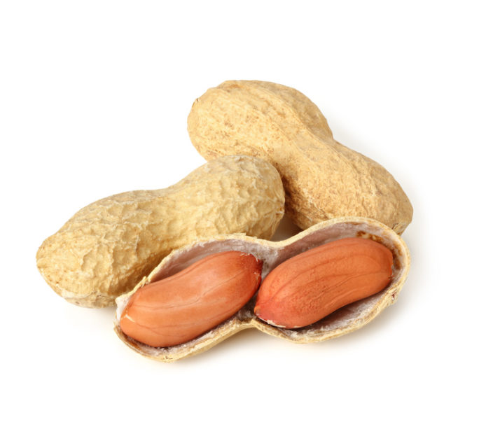 Dried peanuts isolated on white background.