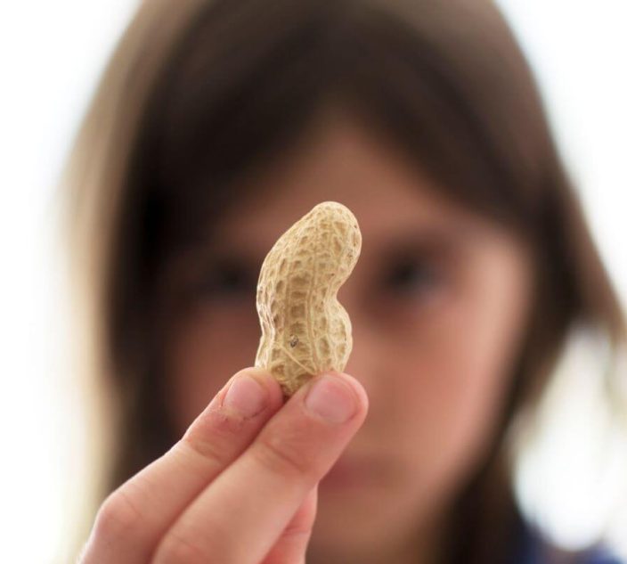 A young child holds up a peanut and looks at it closely.