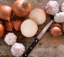 garlic allergy and onion allergy