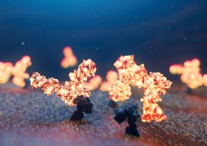 IgE is shown bound to a mast cell.